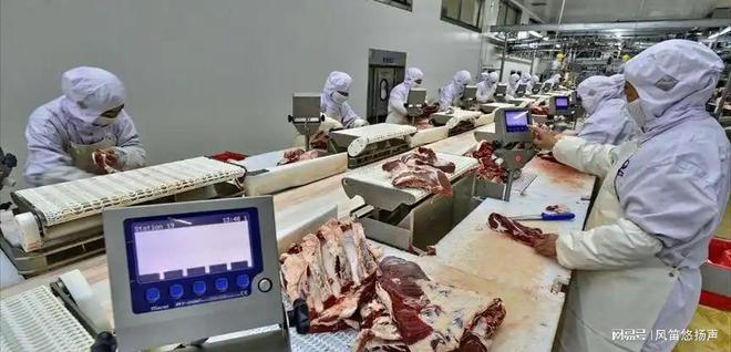 自给自足海南封关将会砸了新加坡的铁饭碗j9九游会入口首页新加坡总统：中国不要(图5)